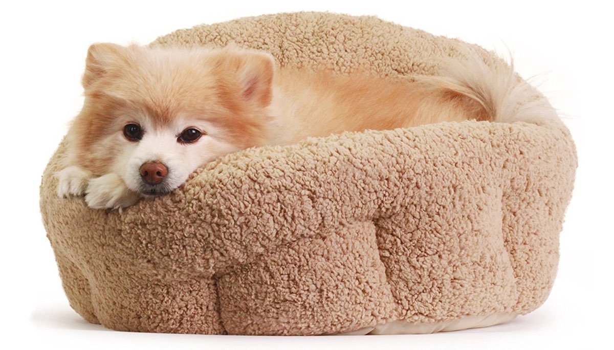 Comportable Dog Bed