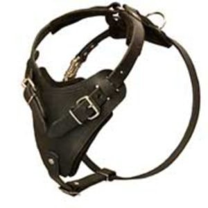 Black Genuine Leather Dog Harness