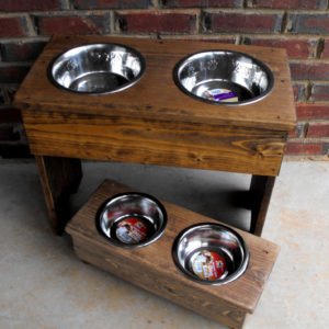 Elevated Double Diner Dog Bowls