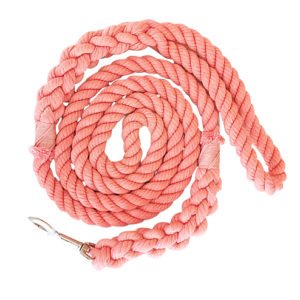 Durable Ombre Dog Leads Manufacturers