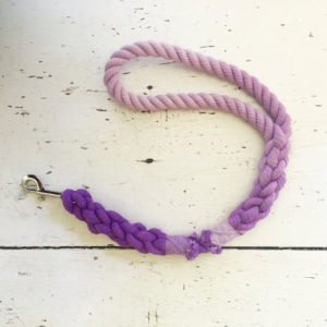 Cotton Ombre Braided Dog Rope Leash