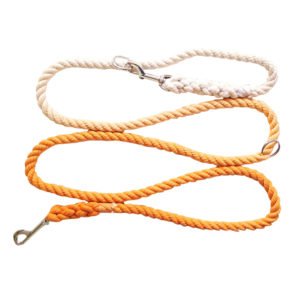 Orange Dog Rope Leash