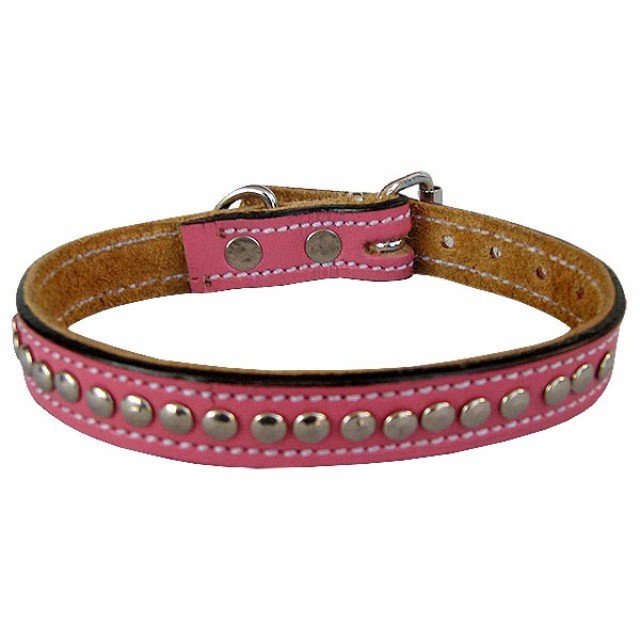 Leather Female Studded Dog Collars, Female Dogs Collar Manufacturer