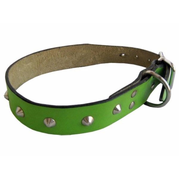 Green Leather Dog Collar