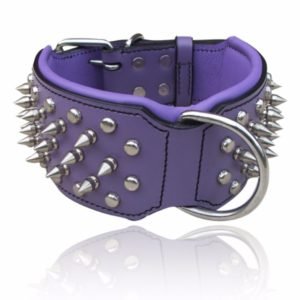Purple Spiked Leather Dog Collars
