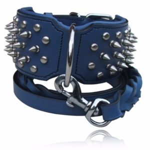 Blue Leather Spiked Dog Collar