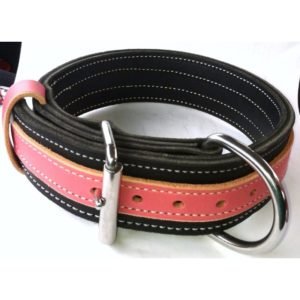 Small Dogs Leather Collars