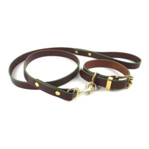 Leather Dog Collar and Lead