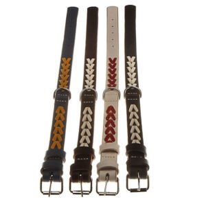 Personalized Leather Dog Collars