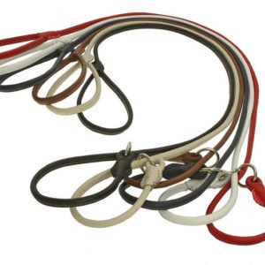 Best Leather Dog Leashes