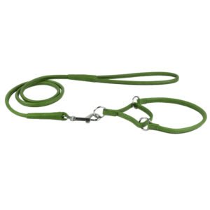 Martingale Dog Collar and Leash Combo