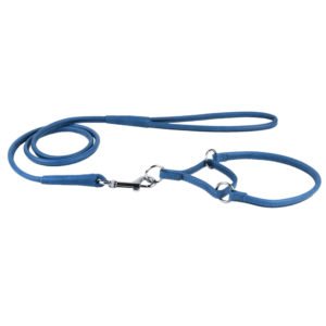 Blue Martingale Dog Collar and Leash