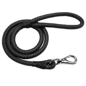 Braided Leather Black Dog Leash