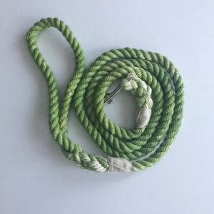 Stylish Green Dog Leash Rope