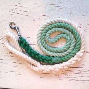 Ombre Green Rope Dog Leash