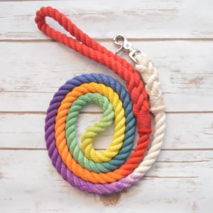 Prismatic Color Rope Dog Leash