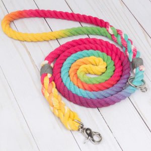 Ombre Colorful Dog Rope Leash