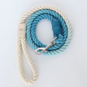 Ombre Small Rope Dog Leash Blue White
