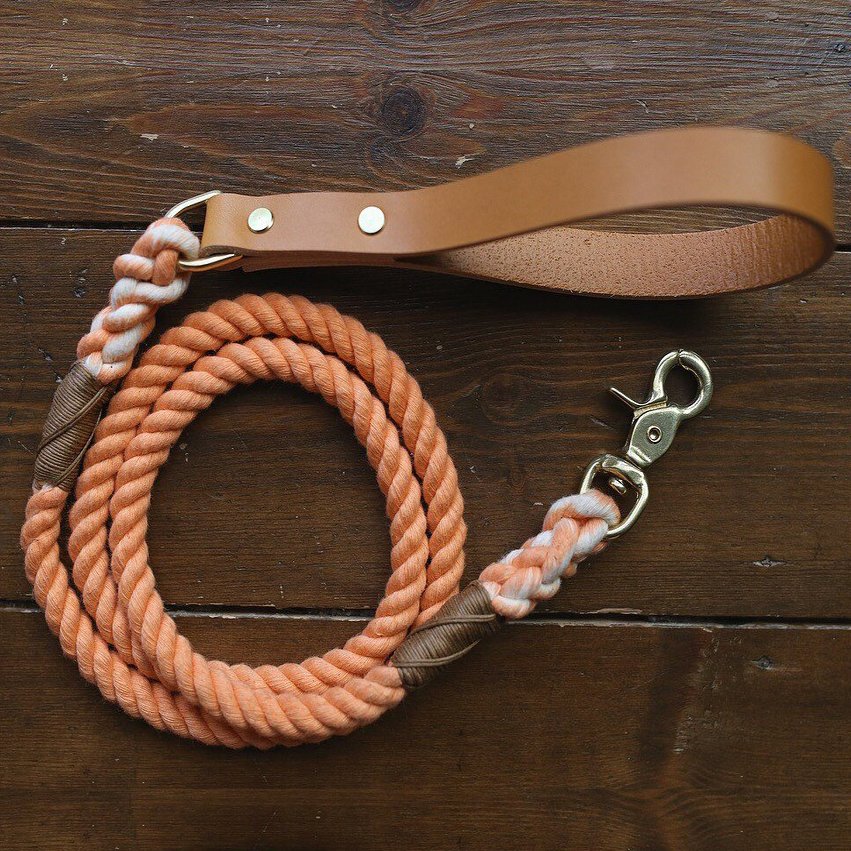 Long Dog Leash - Orange - Smooth Leather