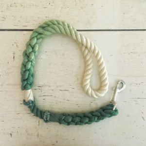 Green Ombre Dog Leads