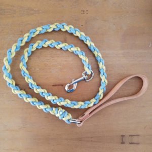 Cotton Braided Rope Dog Leash