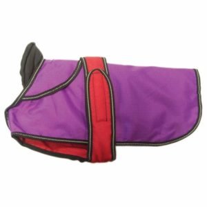 Red Violet Waterproof Best Winter Dog Coats