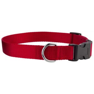 Nylon Plain Red Dog Collar with Plastic Buckle