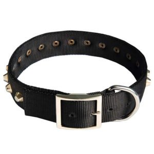 Metal Studded Nylon Adjustable Dog Collar