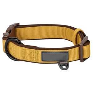 Gold Color Attractive Nylon Dog Collars With Name Tag