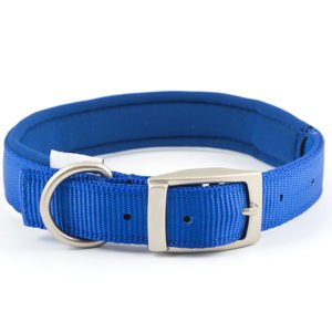 Blue Comfort Padded Nylon Dog Collar