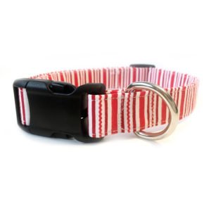 Colorful Strip Nylon Dog Training Collar
