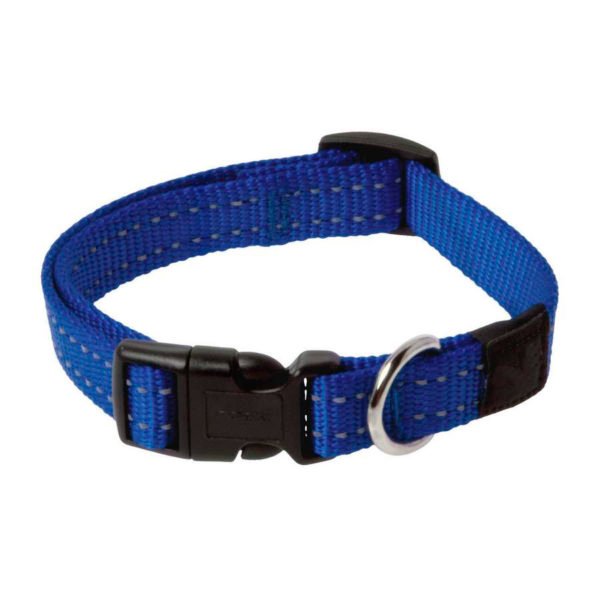Deep Blue Nylon Adjustable Dog Collars