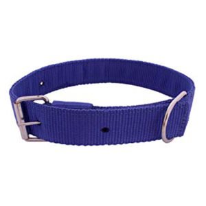 Metal Buckle Blue Nylon Large Breed Dog Collar