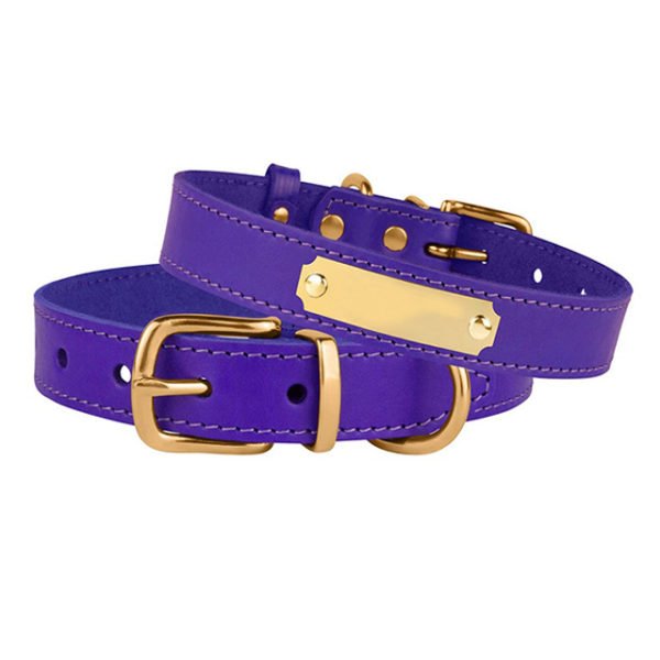 Purle Leather Dog Collar With Name Plate