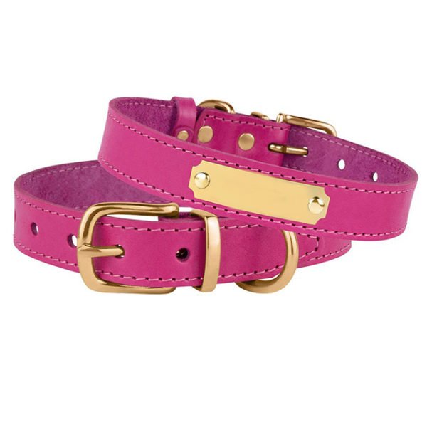 Pink Leather Dog Collar With Name Plate