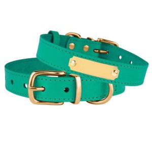 Coral Green Leather Dog Collar With Name Plate