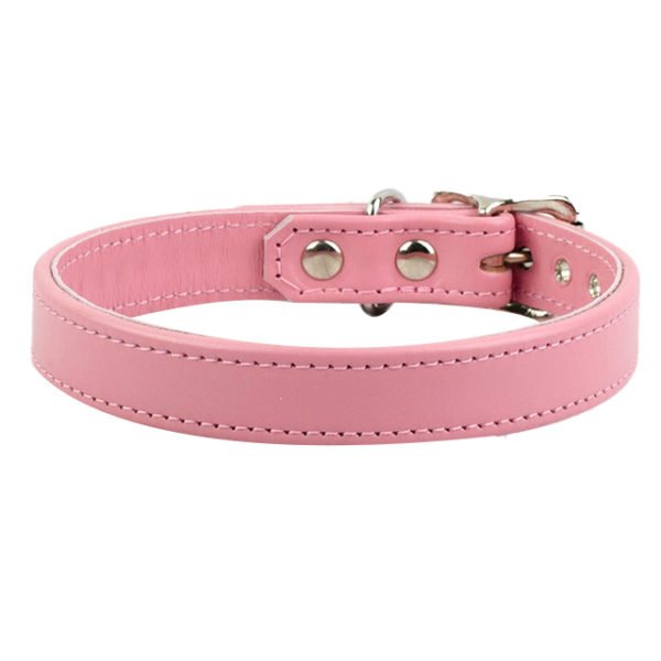 Luxury Color Leather Dog Collar