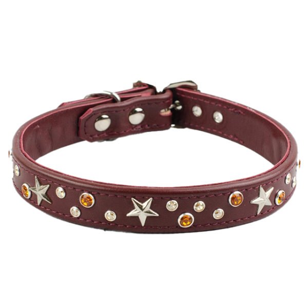 Beautiful Leather Dog Collar With Brass Stars