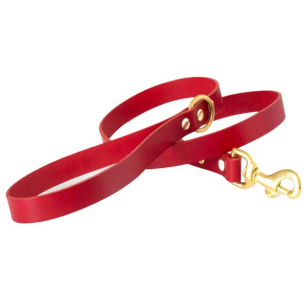 Classic Red Leather Dog Collar Leash Set Brass Hardware