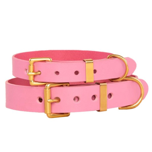 Gloomy Pink Leather Dog Collar Leash Set
