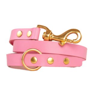 Gloomy Pink Leather Dog Collar Leash Set