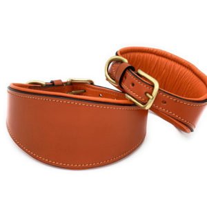 Beautifully Made Leather Padded Dog Collar