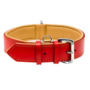 Heavy Duty Luxury Red Dog Collar