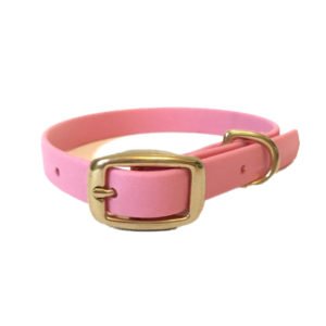 Neon Pink Leather Dog Collar