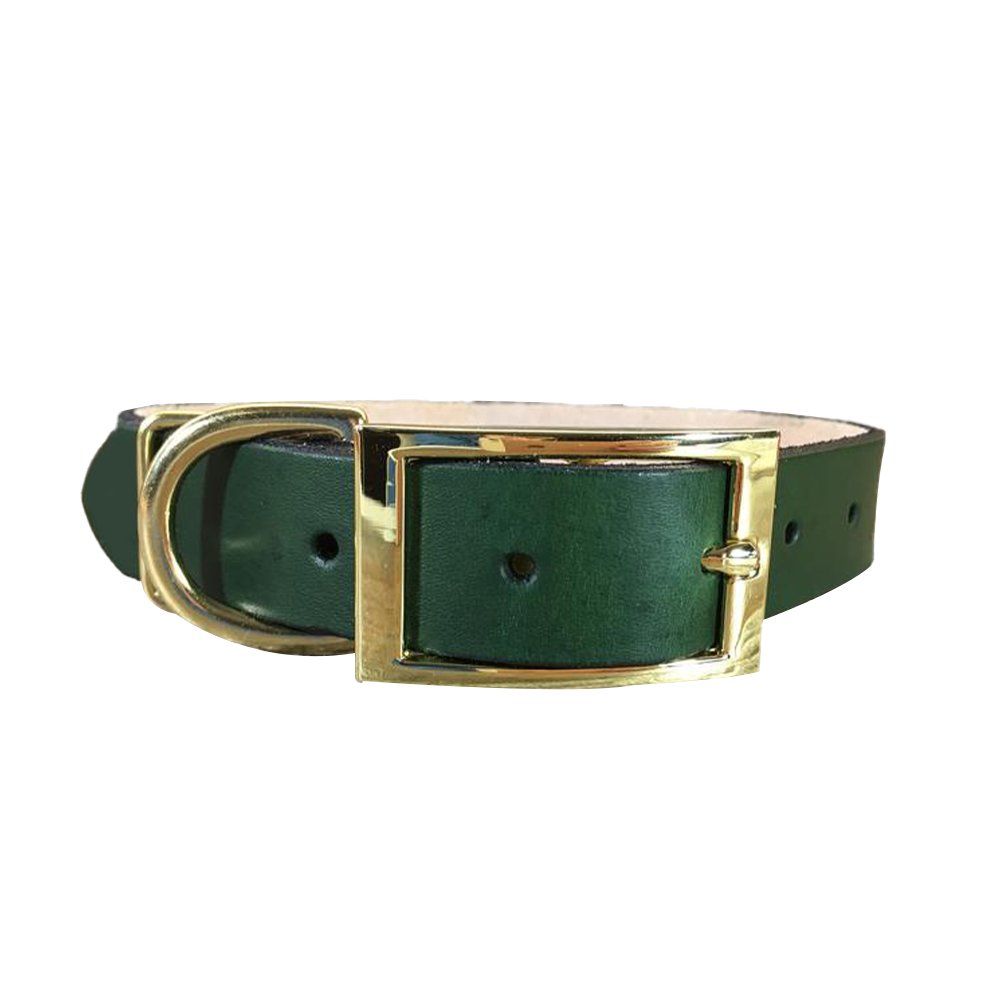 Personalized Green Leather Dog Collar