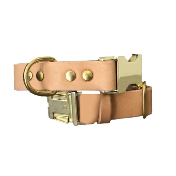 Leather Dog Collar With Golden Metal Buckle Hardware