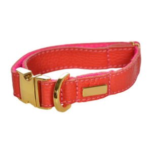 Orange Leather Collar With Name Plate