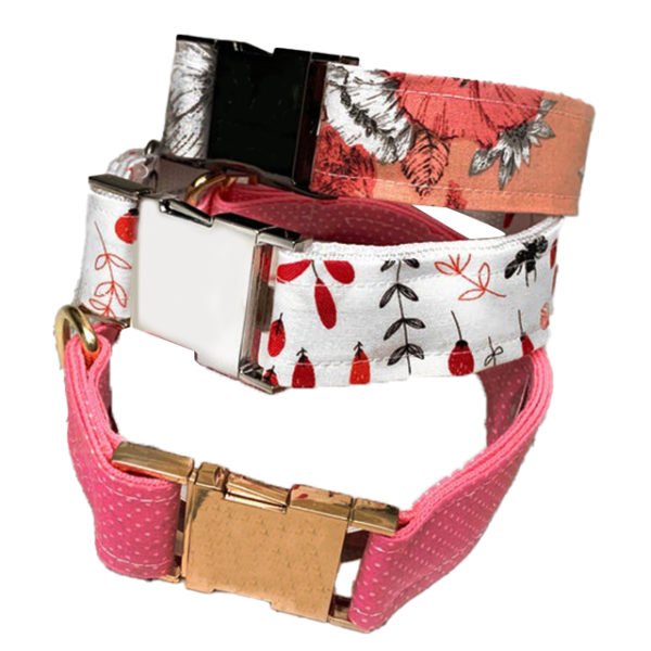 Personalized Engraved Metal Buckle Dog Collar Supplier