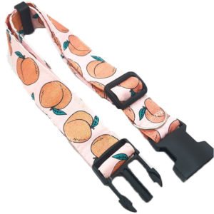 Summer Peach Pet Tag Dog Collar