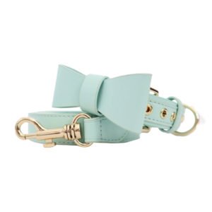 Beautiful Leather Bow Collar and Leash Set